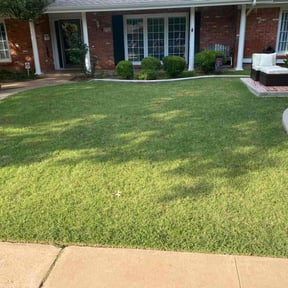 yard service by Cuñados Landscaping reviewed on November 21, 2025