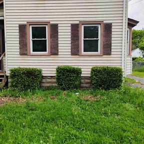 Bush Trimming by A Cut Above Lawn & Landscaping reviewed on August 18, 2025