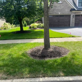 lawn care services by Yanez Brothers Landscaping reviewed on August 15, 2025