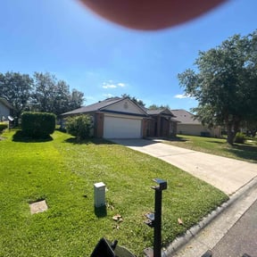 turf maintenance by Individual reviewed on January 30, 2024