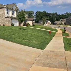 residential landscaping by Milo’s Lawn & Garden reviewed on August 20, 2025