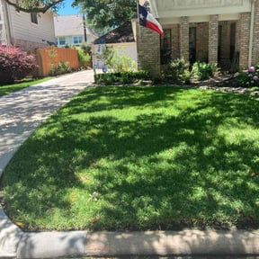 lawn service by NMH Renovations&landscaping LLC reviewed on November 21, 2023