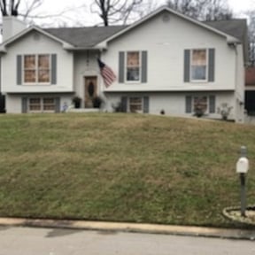 Leaf Removal by JBLC Percision lawn care reviewed on September 16, 2025