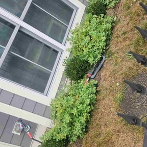 Flower Bed Weeding by Alexis perez reviewed on October 23, 2025