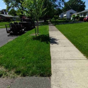 yard maintenance by Benlocs Lawn&Garden service reviewed on August 16, 2025
