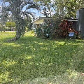 yard service by Central TX Services reviewed on October 23, 2025