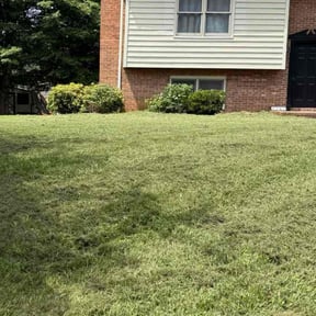 Bush Trimming by Style Loft Lawn Care reviewed on October 19, 2025