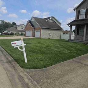yard care by Dad's lawn care reviewed on August 21, 2025