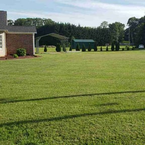 landscaping services by Nycstro LLC reviewed on August 16, 2025
