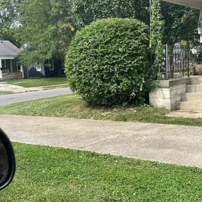 Bush Trimming by Top Tier Lawn Service reviewed on August 17, 2025