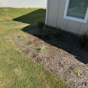 Flower Bed Weeding by Westside Mowing reviewed on October 22, 2025