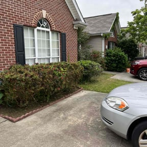 Bush Trimming by Rjs landscaping and general clean up llc reviewed on August 20, 2025