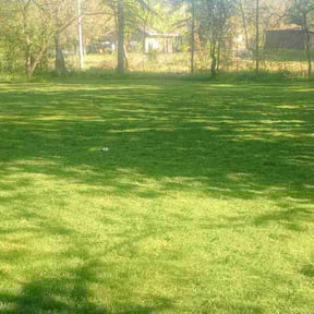 yard care by Import &domestic & more & law reviewed on August 17, 2025
