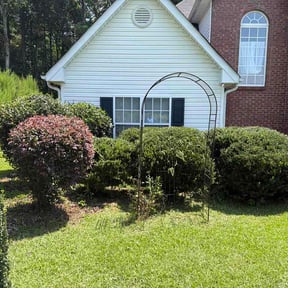 Bush Trimming by Fresh cut reviewed on August 2, 2026