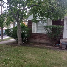 Bush Trimming by DTE Maintenance Llc reviewed on August 17, 2025