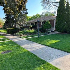 yard service by Red Rose Lawn Care reviewed on August 21, 2025