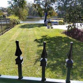 yard service by Alpha Turf Control reviewed on August 18, 2025