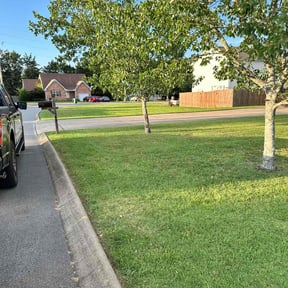 yard care by MrGreenTrades LLC reviewed on August 17, 2025