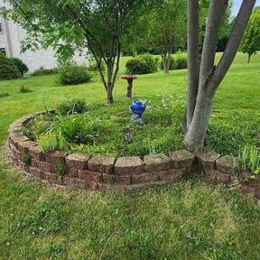 Flower Bed Weeding by Dad Will Do It. Lawn services LLC reviewed on June 27, 2026