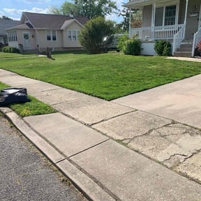 grass maintenance by Hector&#039;s Lawn Care reviewed on December 29, 2023