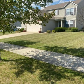 lawn service by Cruz Crewz LLC reviewed on June 14, 2025