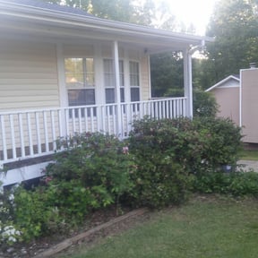 Bush Trimming by BSM & Co. Landscaping reviewed on August 19, 2025