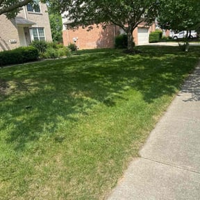 yard work by Luis’ Landscape and Gardening reviewed on November 22, 2025