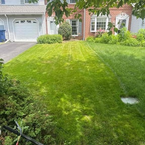yard work by Green Hands Landscaping reviewed on August 17, 2025