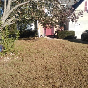 Bush Trimming by Mighty Maverick Lawn Heroes and Landscaping reviewed on August 20, 2025