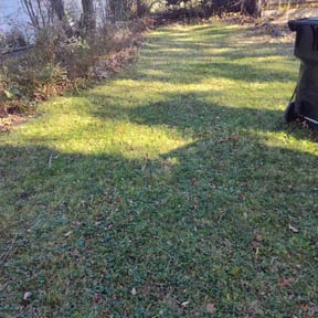 Leaf Removal by BDT BUILDERS LANDSCAPE N DESIGN reviewed on November 21, 2025