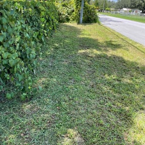 turf maintenance by Caesar’s Premier Landscaping reviewed on September 30, 2023