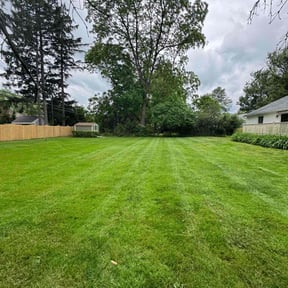 lawn care services by Stephenson's Landscaping reviewed on August 21, 2025