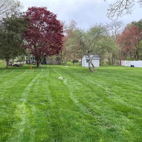 grass cutting by Improvedetailing.com reviewed on August 16, 2025