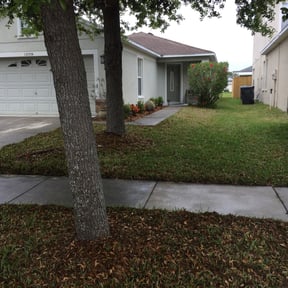 Bush Trimming by Bigfoot Landscape Group . Com reviewed on August 15, 2025