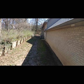 Leaf Removal by Roberto Pena reviewed on September 30, 2025