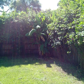 Bush Trimming by Hampton's Landscaping LLC reviewed on August 15, 2025