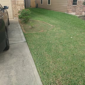 Flower Bed Weeding by LuvYourLawn reviewed on August 15, 2025