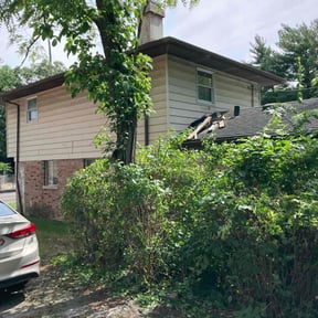Bush Trimming by Dew Right Lawn Care LLC reviewed on August 15, 2025