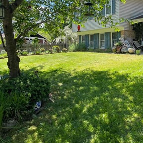 yard service by Dan&#039;s Lawn &amp; Landscaping reviewed on November 24, 2025