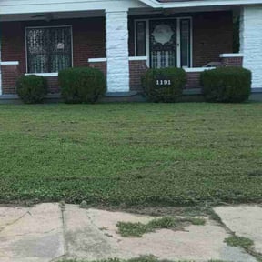 Bush Trimming by B and b lawn and professional services llc reviewed on August 21, 2025