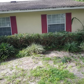 Bush Trimming by Impactt Landscaping, LLC reviewed on August 20, 2025