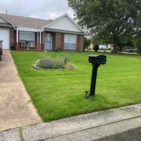 yard care by 20-20 Lawn Care reviewed on August 19, 2025
