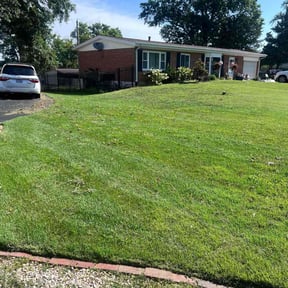 gardening service by Trip reviewed on August 20, 2025