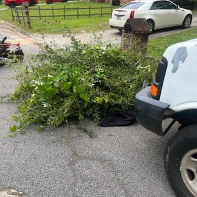 Bush Trimming by LG Lawn Services reviewed on August 18, 2025