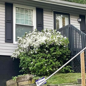 Bush Trimming by Quality Care Services reviewed on August 19, 2025