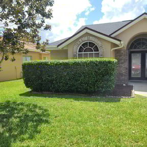 Bush Trimming by Blue Diamond Cleaning Services reviewed on August 18, 2025