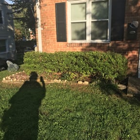 Bush Trimming by RWF lawn service reviewed on August 17, 2025