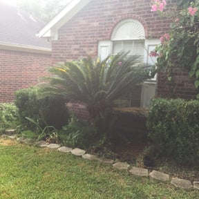 Bush Trimming by Dr. Green Lawn LLC reviewed on August 21, 2025