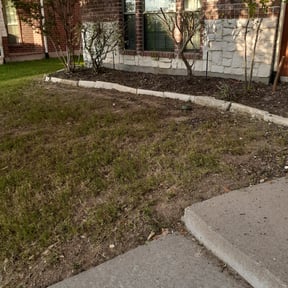 Bush Trimming by T &O Landscape Service LLC reviewed on August 15, 2025