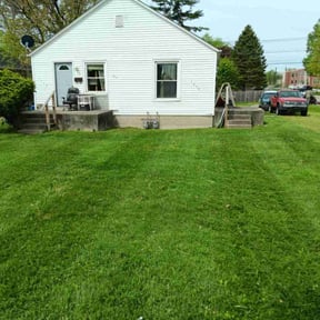 lawn maintenance by Trip reviewed on May 11, 2024